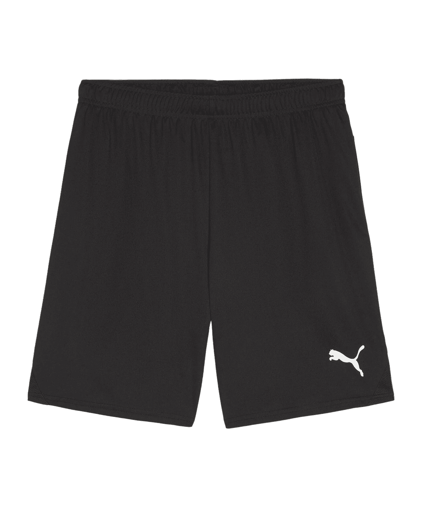 teamGOAL Shorts (03 Puma Black)