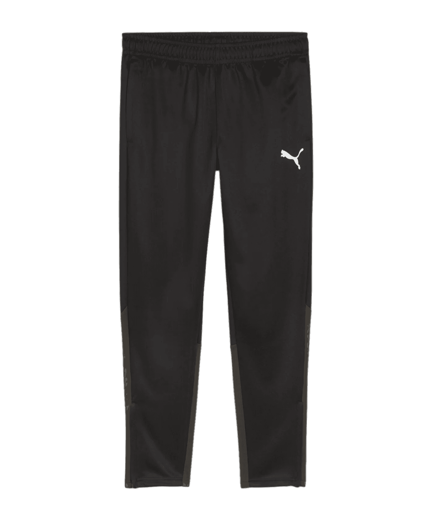 teamGOAL Training Pants (03 Puma Black)