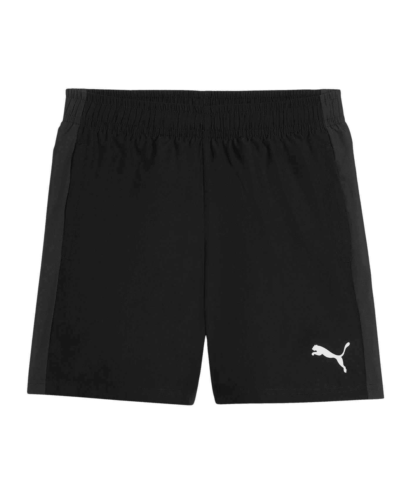 teamLIGA26 Sideline Shorts (03 Puma Black)